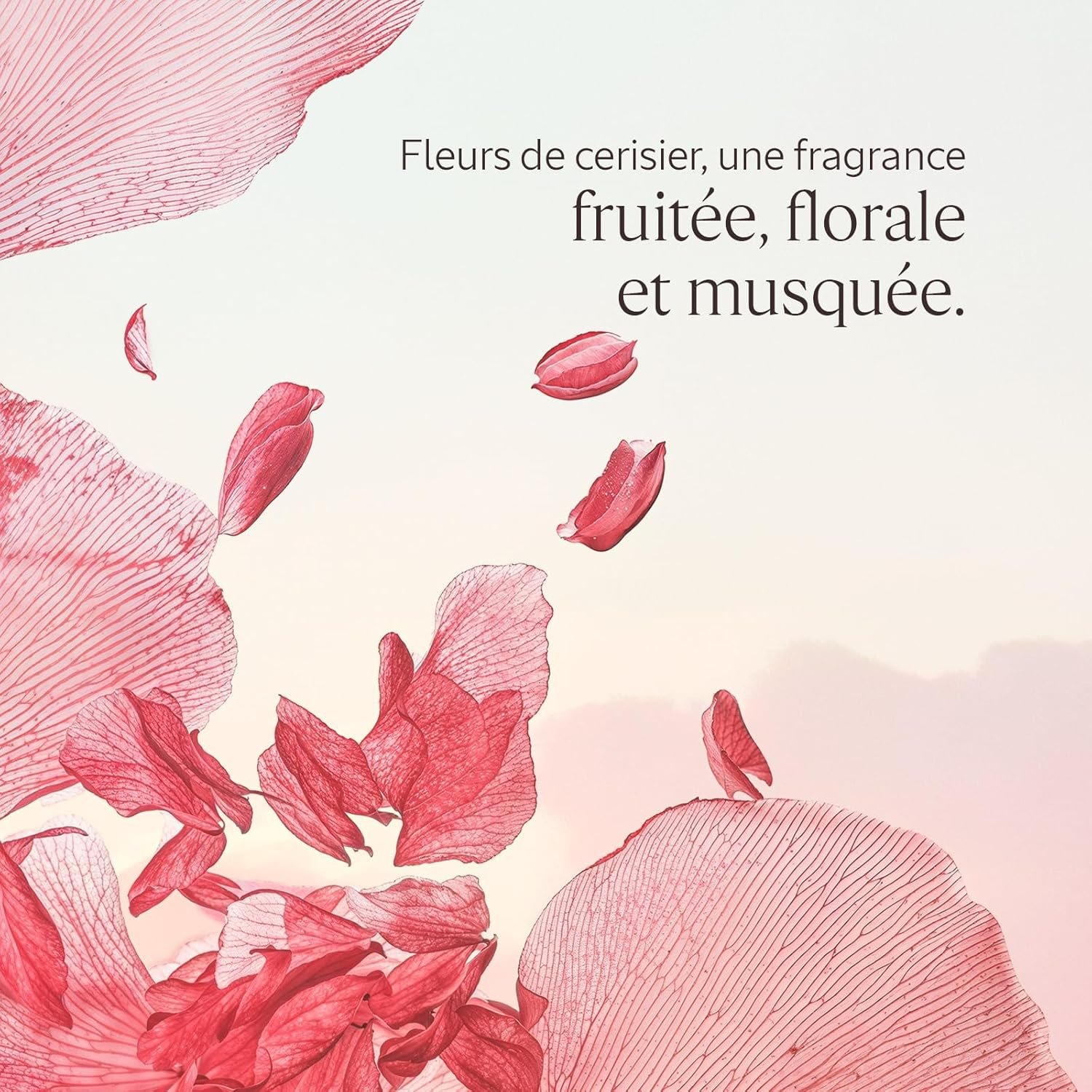 Des cadeaux justes cerisier1