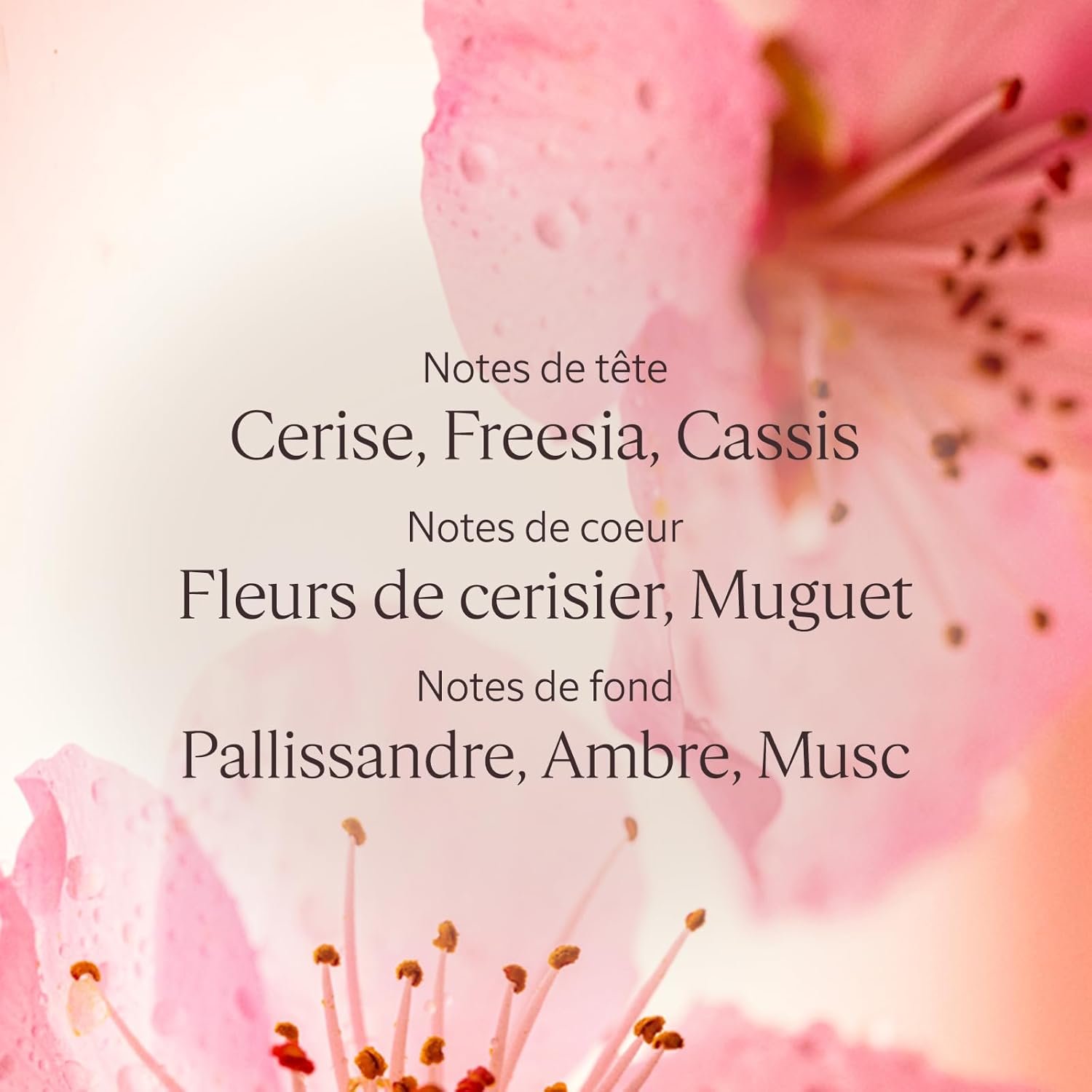 Des cadeaux justes cerisier2